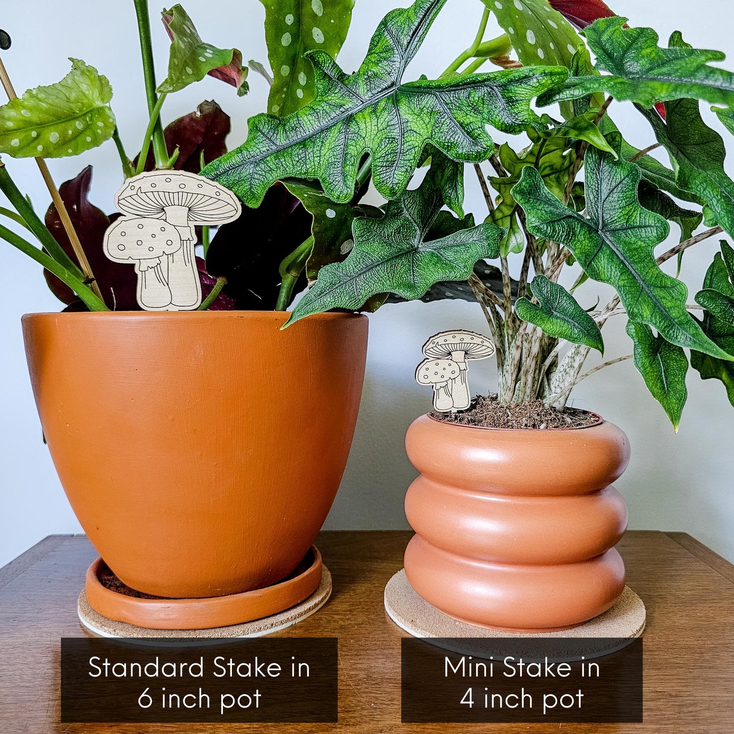 indoor plants for 6 inch pots Mushroom Pair Indoor Plant Accessory Stake