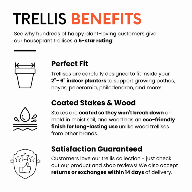Benefits of using a trellis with small indoor houseplants in 2-6 inch pots.
