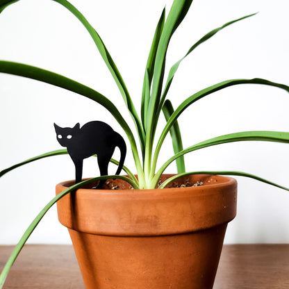 Black cat indoor plant accessories - decoration for houseplant pots.