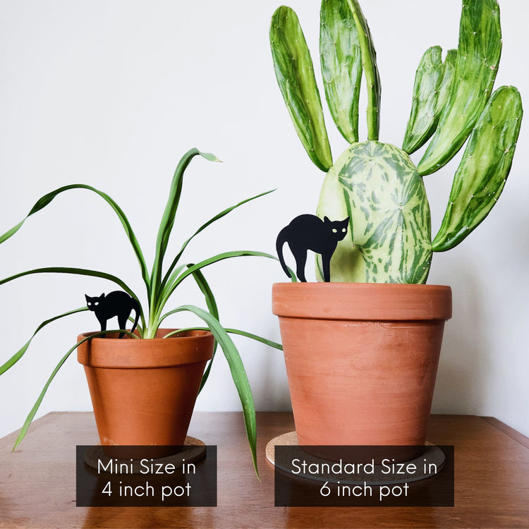 Black cat indoor plant accessories - decoration for houseplant pots.