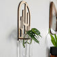 Wall mounted hanging propagation station for growing plant cuttings in water. Wood cut cactus design.