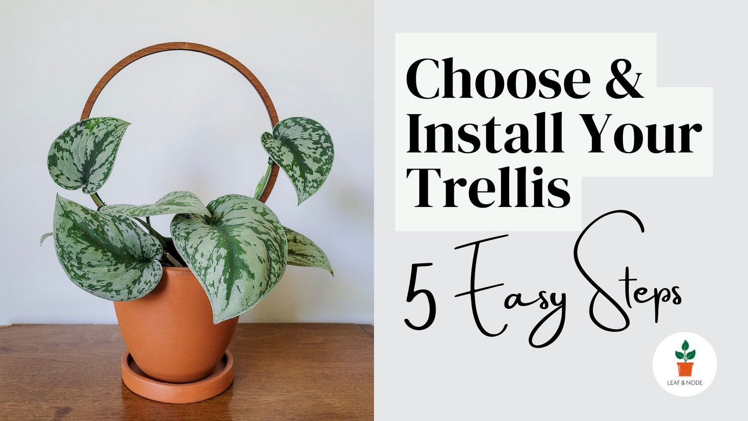 Load video: Video demonstrating how to select the best trellis for your plant and install it in your planter once it arrives.