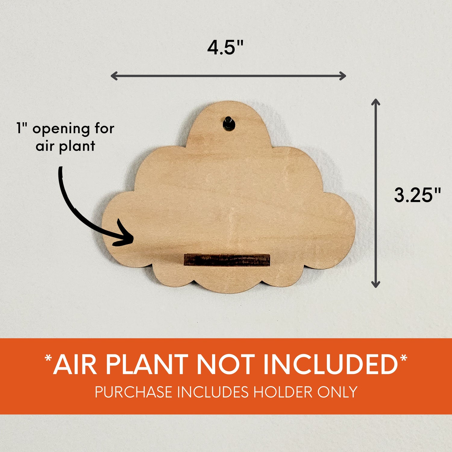 Wood air plant holder display - cloud shaped air plant wall hanger. 