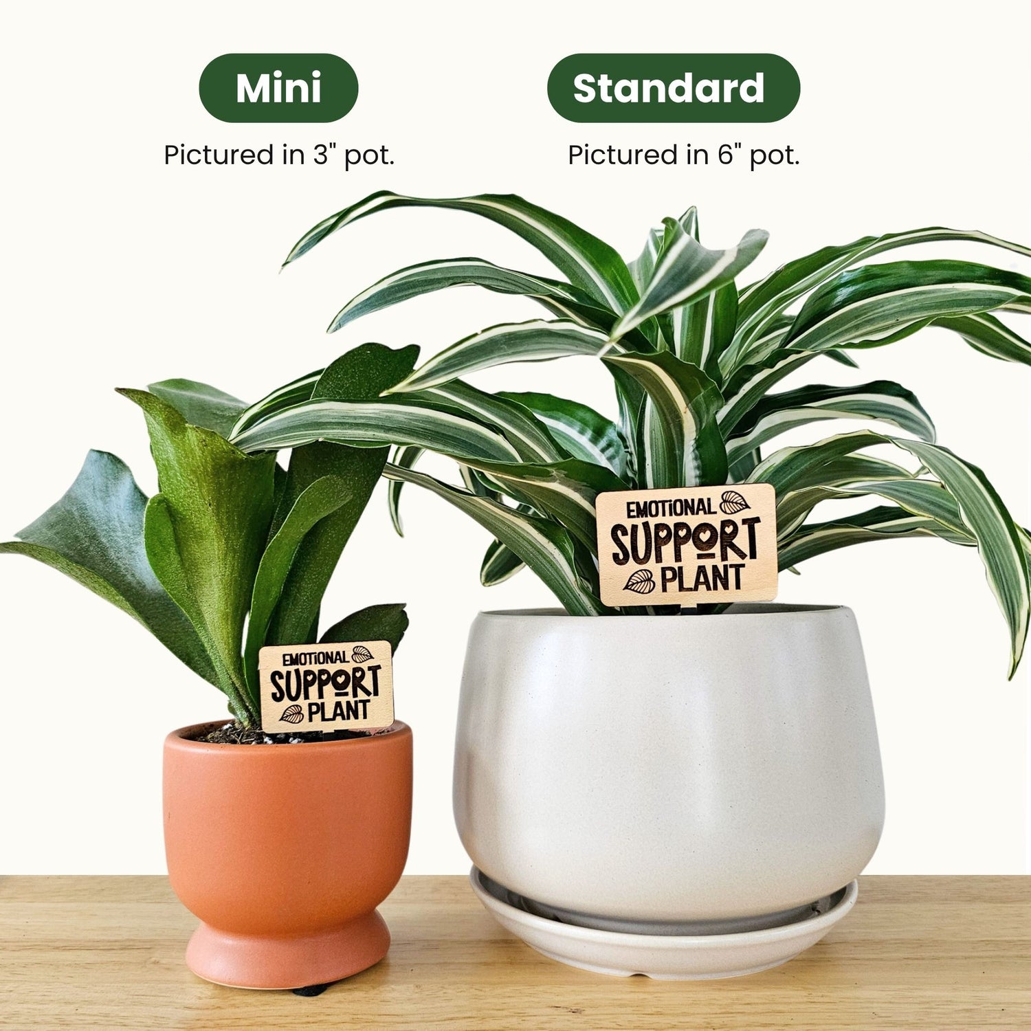 quotes for indoor plant lovers Funny Plant Sayings - Indoor Plant Accessories