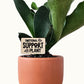 Funny Plant Sayings - Indoor Plant Accessories (4 Styles)