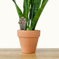 Mushroom Decor - Indoor Plant Accessories (4 Styles)