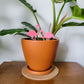 Pink flamingo mini indoor plant accessories - decoration for small houseplants.