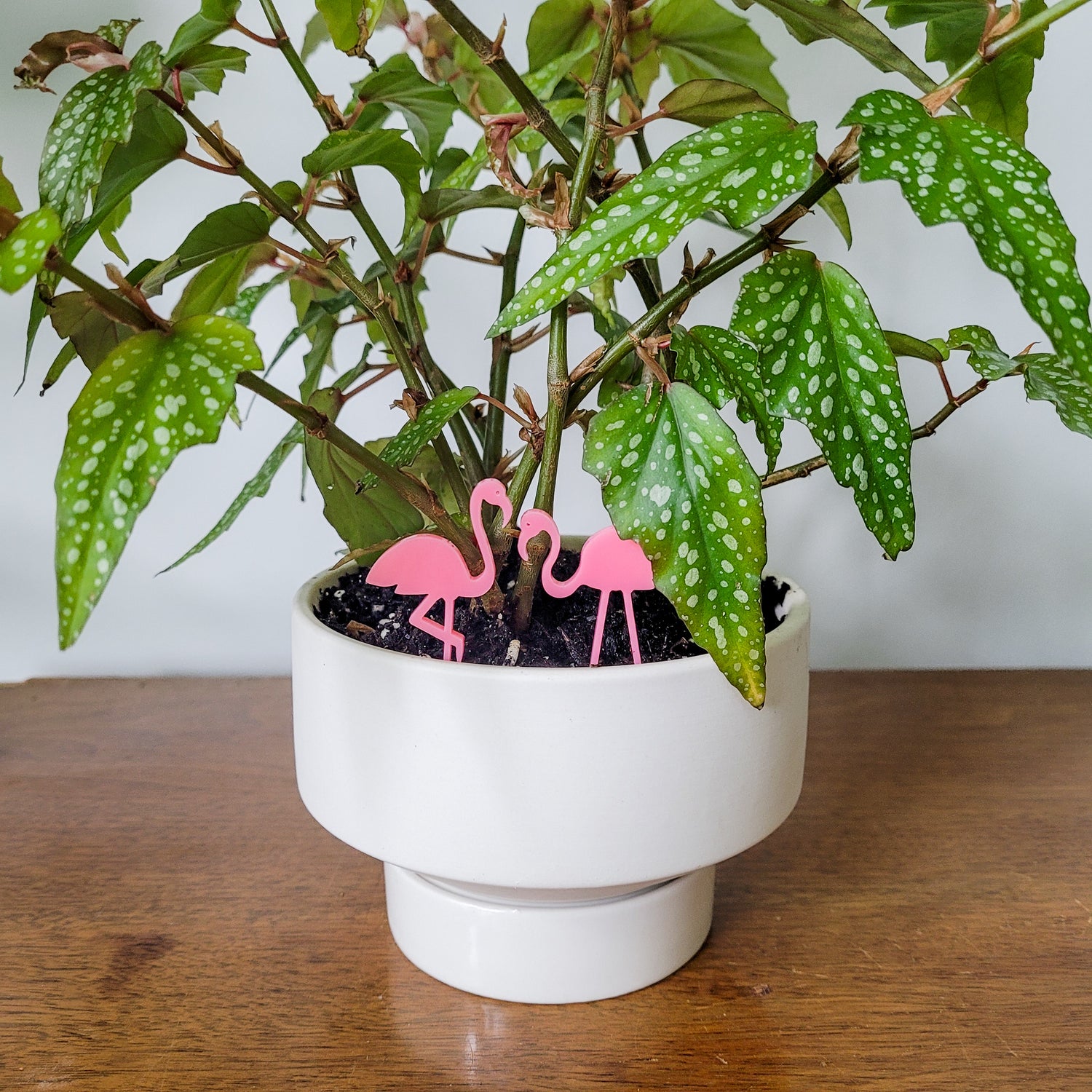flamingo indoor plant Pink Flamingo Indoor Plant Accessory Stake
