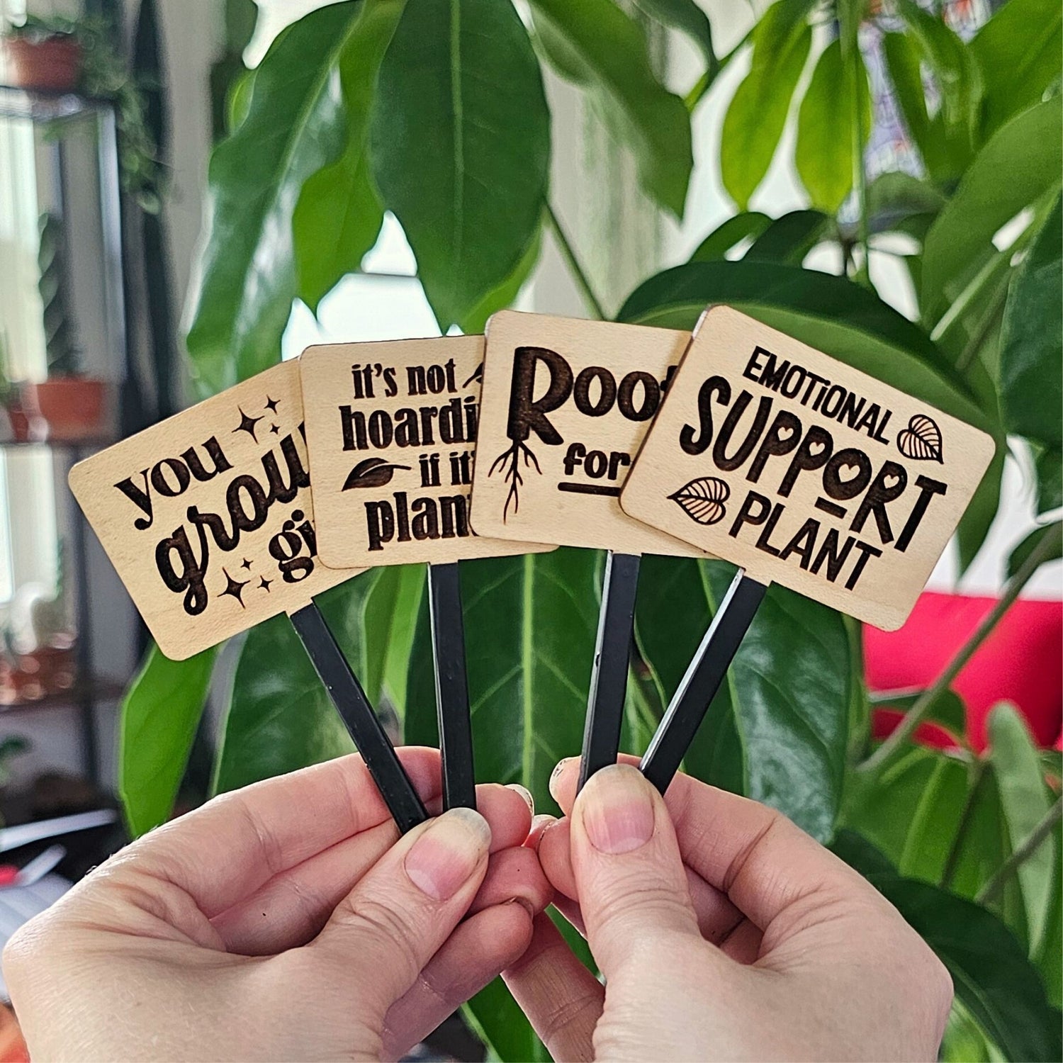 indoor plants quotes Funny Plant Sayings - Indoor Plant Accessories