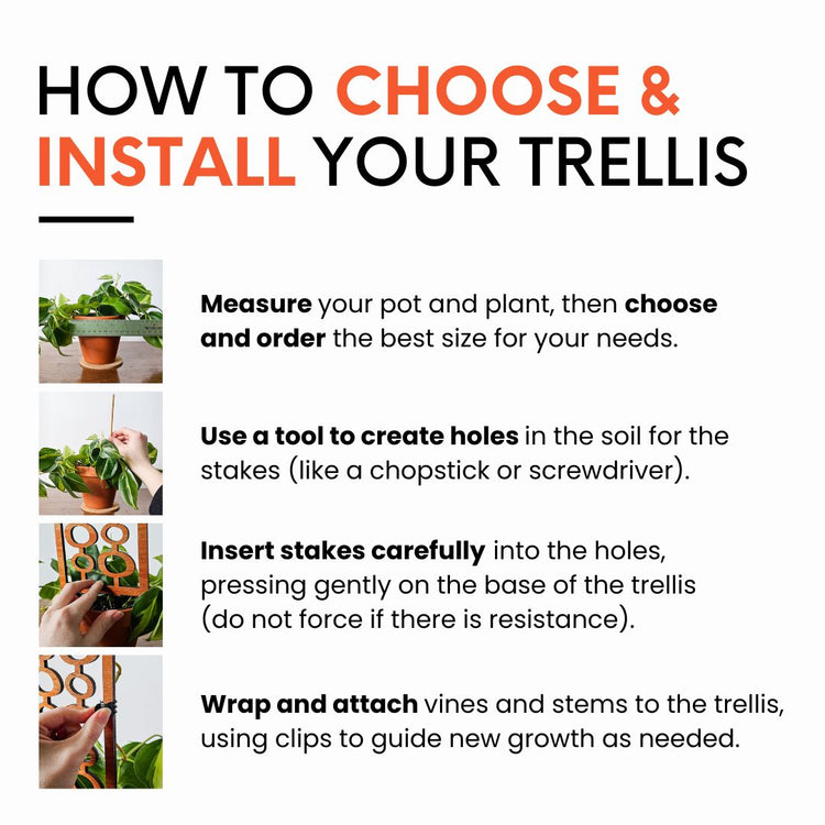 How to use your indoor plant trellis to support  houseplants in 2-6 inch pots. 