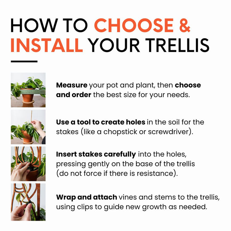 How to use your indoor plant trellis to support  houseplants in 2-6 inch pots. 