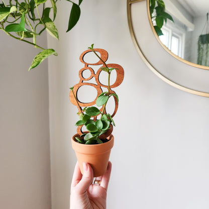 Indoor plant trellis in mid-century modern style. Size is designed for small potted, climbing houseplants.
