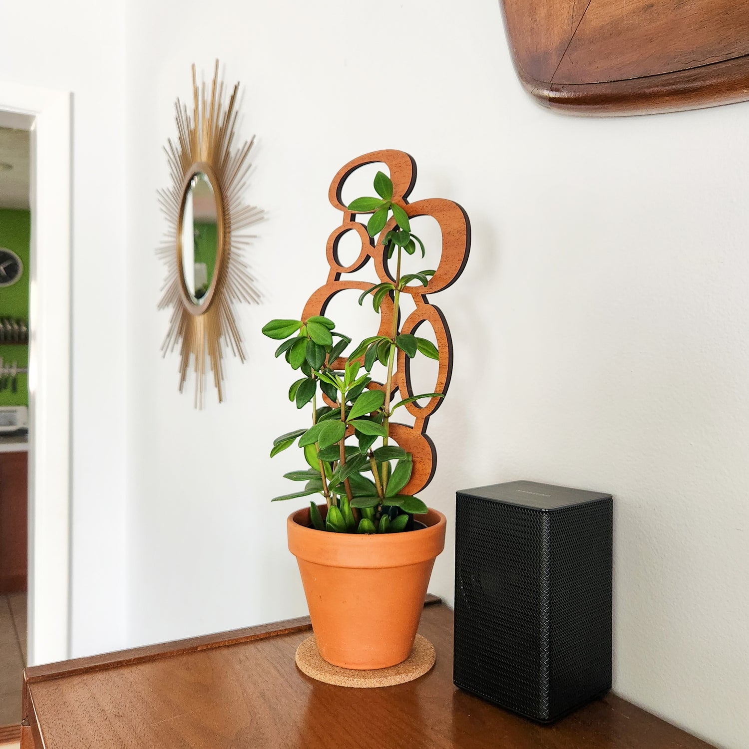 trellis for indoor house plants MCM Circles Indoor Houseplant Trellis (Wood)