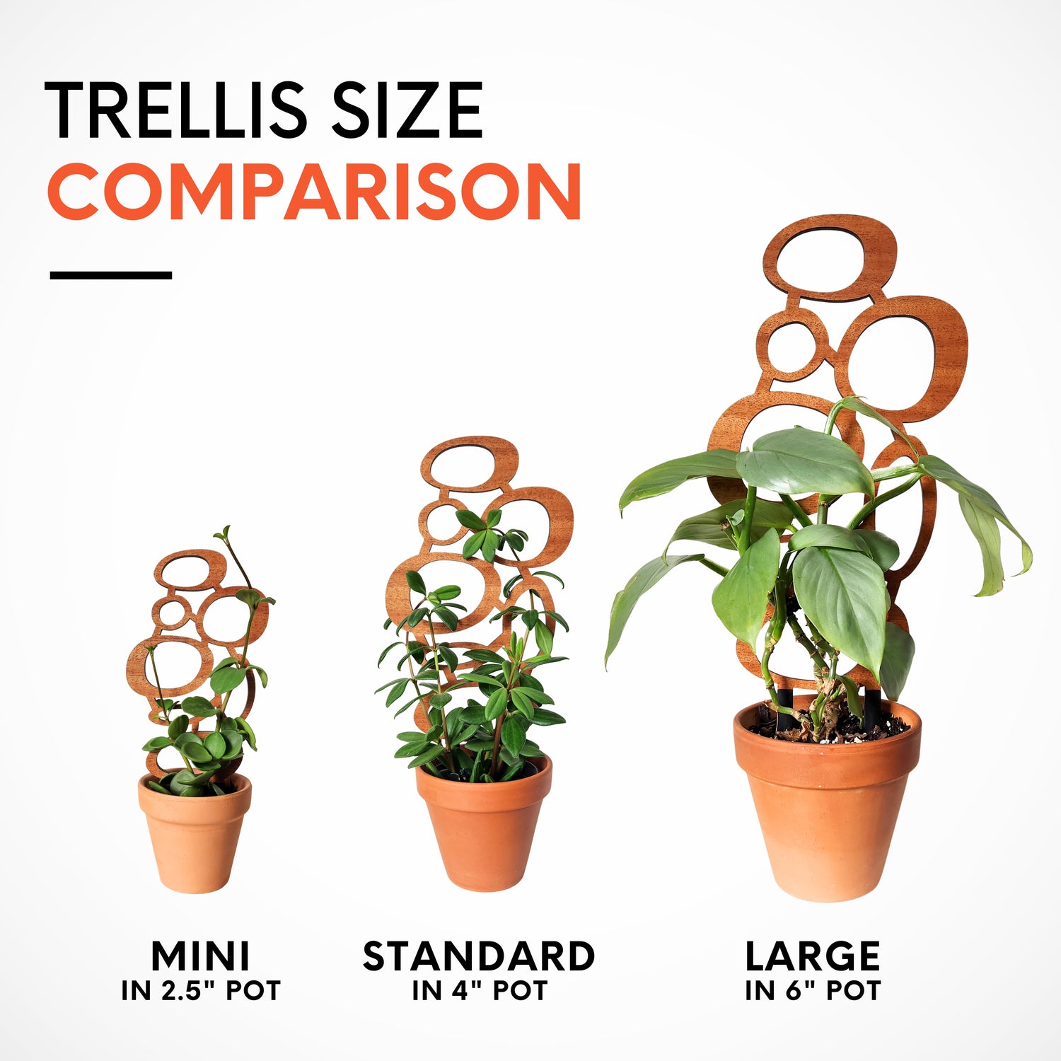 indoor plant container size chart MCM Circles Indoor Houseplant Trellis (Wood)