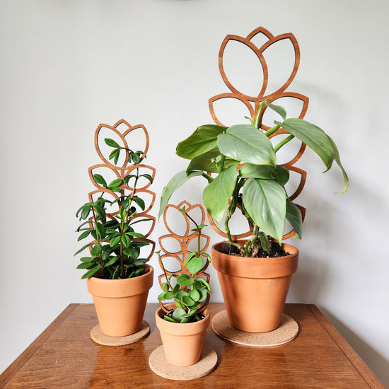 Indoor plant trellis in mid-century modern style. Size is designed for small potted, climbing houseplants.
