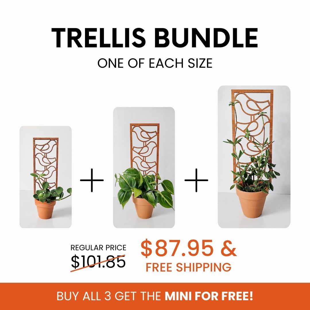 where to buy cheap indoor plants Indoor Plant Trellis – Mid Century Modern Design – Plant Gifts & Decor Large (best for 6-7 inch pots)