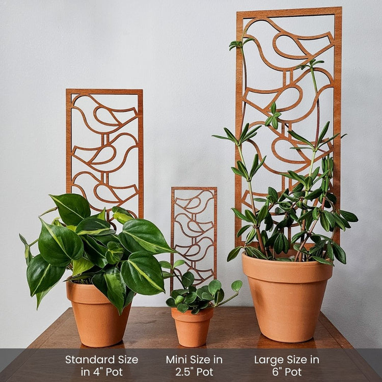 Modern indoor plant trellises for small houseplants in 2-6 inch pots..