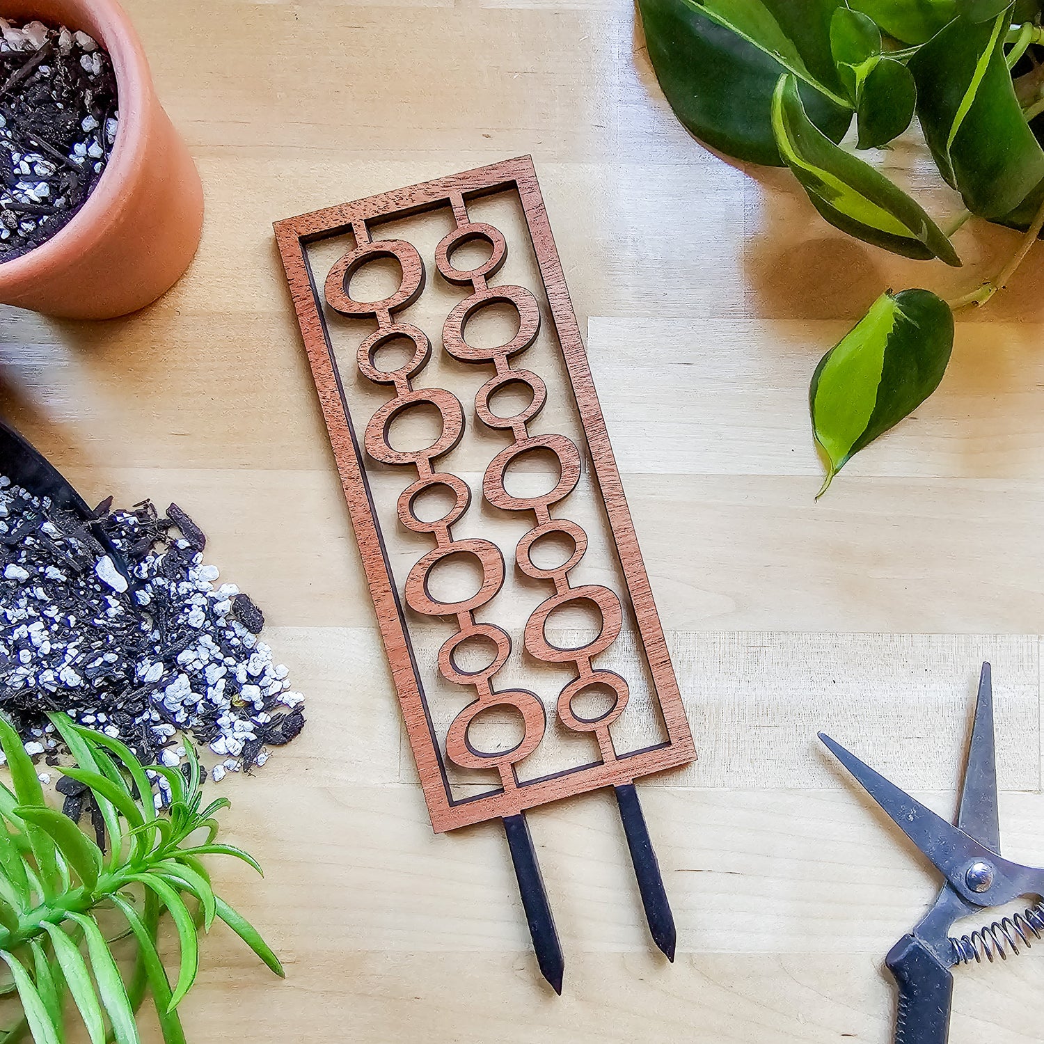 wooden trellis small MCM Bubbles Indoor Houseplant Trellis (Wood)