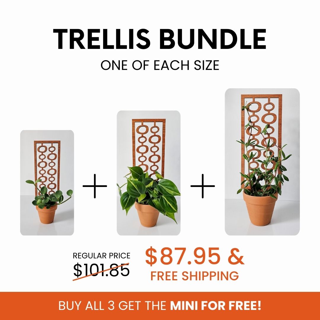 wooden trellis prices Indoor Plant Trellis – Mid Century Modern Design – Plant Gifts & Decor Bundle: All 3 Sizes
