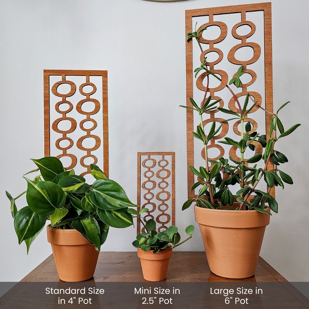 large indoor plant trellis Indoor Plant Trellis – Mid Century Modern Design – Plant Gifts & Decor Bundle: All 3 Sizes