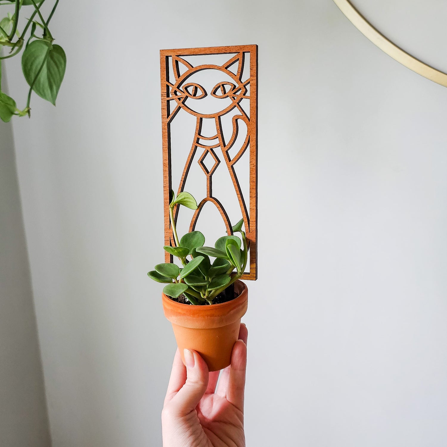 trellis plant holders Indoor Plant Trellis – Mid Century Modern Design – Plant Gifts & Decor Large (best for 6-7 inch pots)