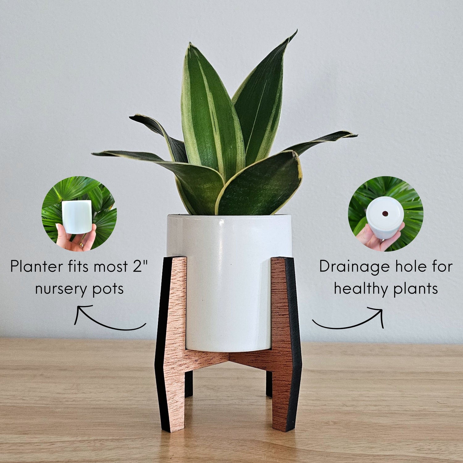 indoor plant pots india Mini Wood Indoor Plant Stand with Ceramic Pot
