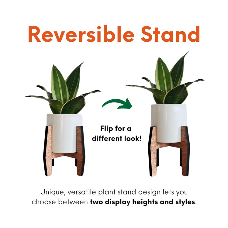 designer plant stand indoor Mini 2-Inch Wood Indoor Plant Stand & Pot