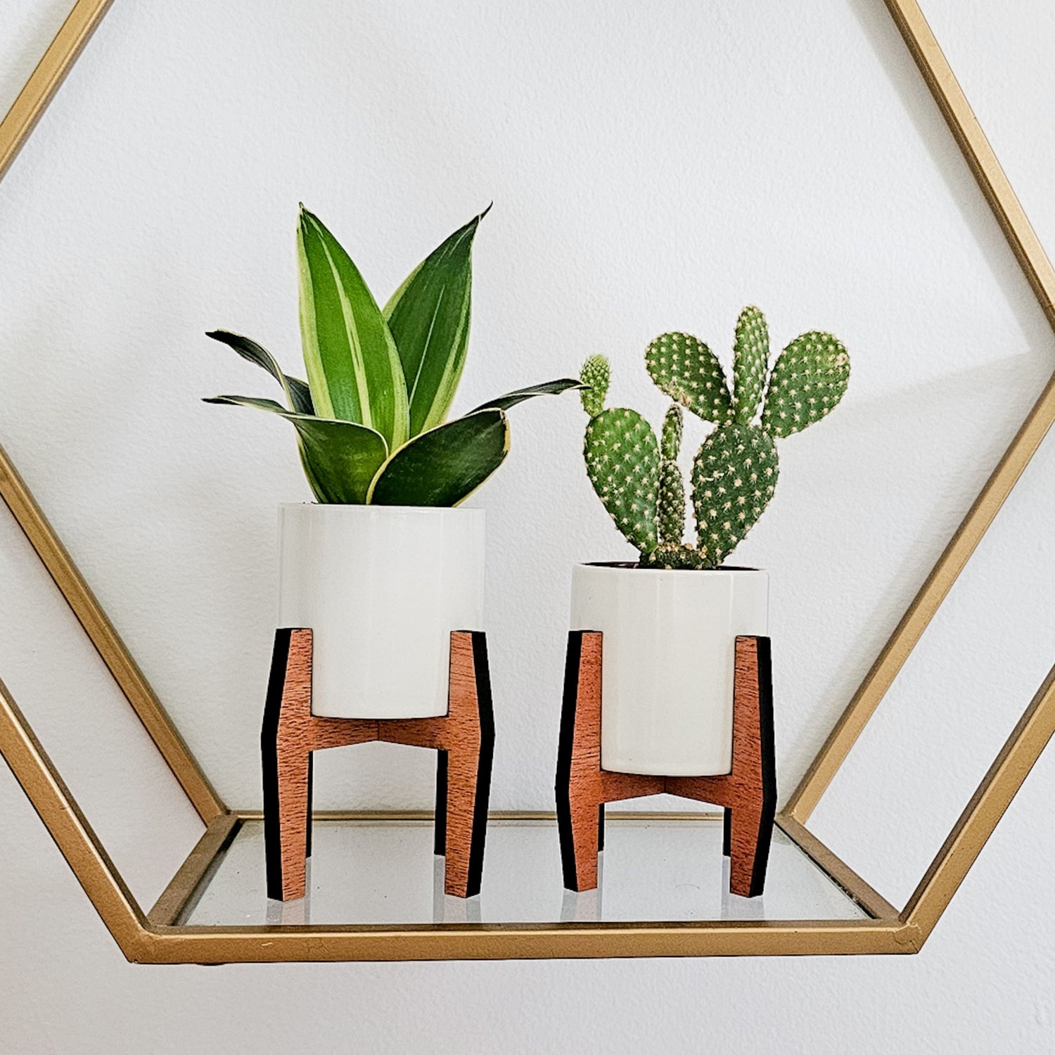 mini succulent stand Mini 2-Inch Wood Indoor Plant Stand & Pot