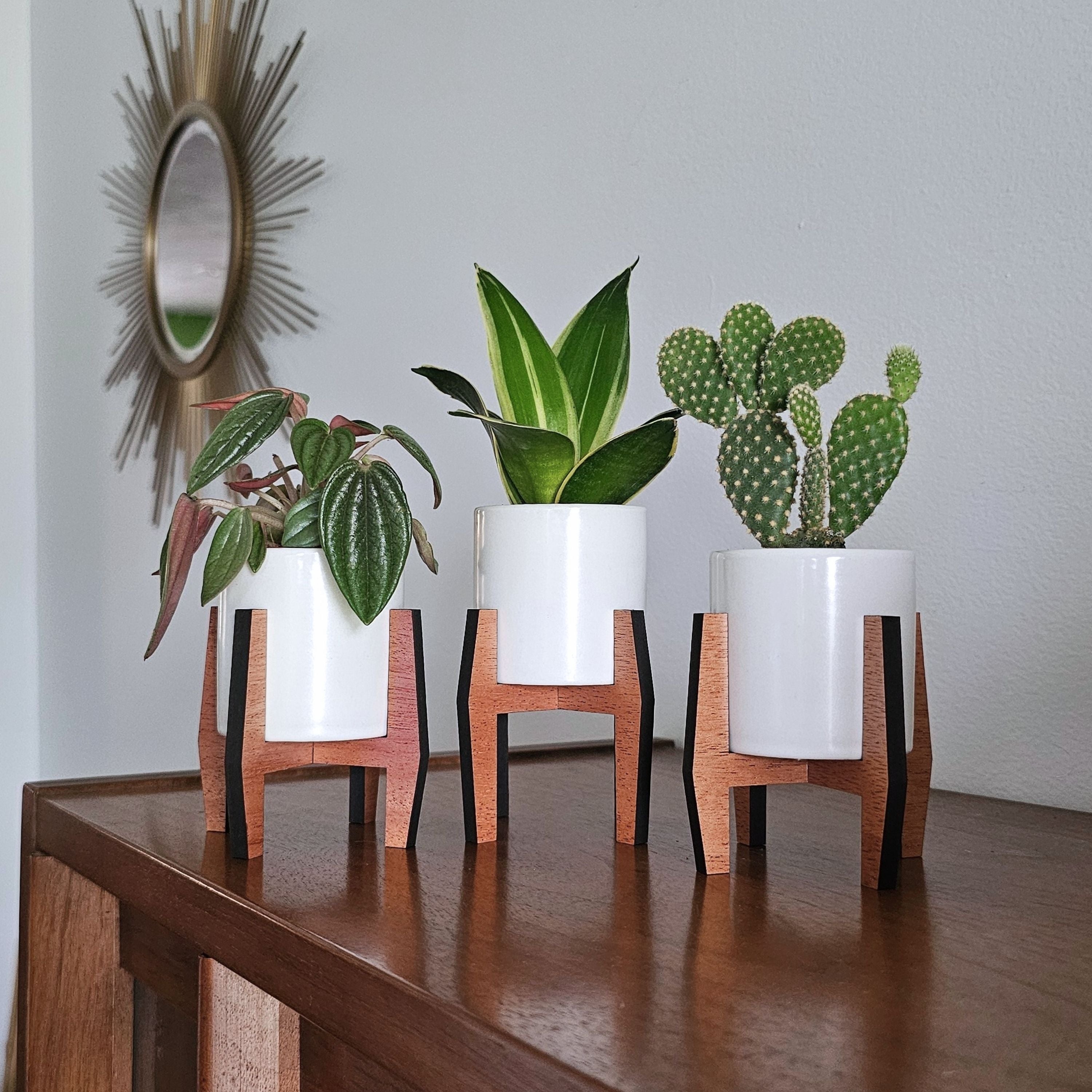 Mini 2-Inch Wood Indoor Plant Stand & Pot - Small Succulent