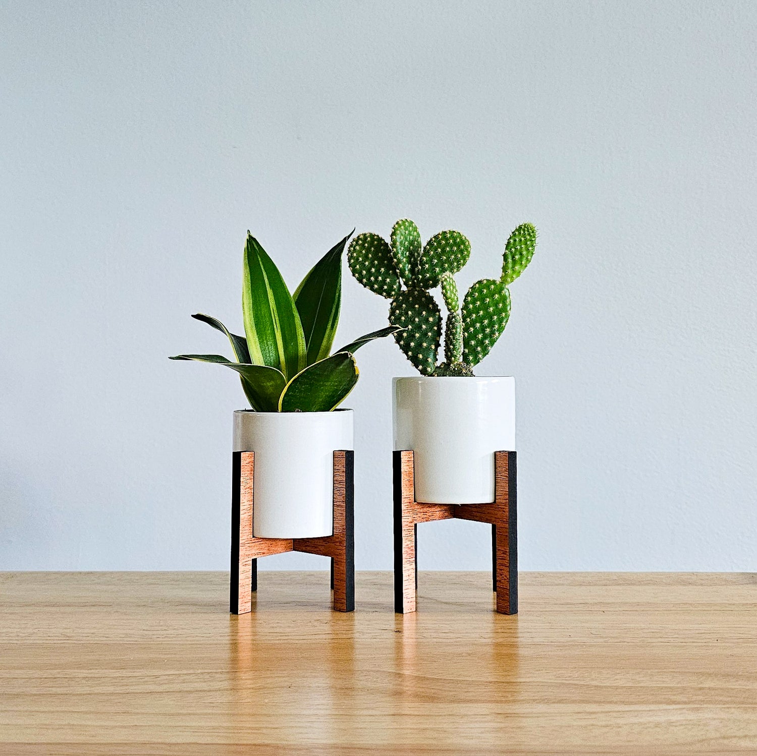 plant pots stand indoor Mini 2-Inch Wood Indoor Plant Stand & Pot