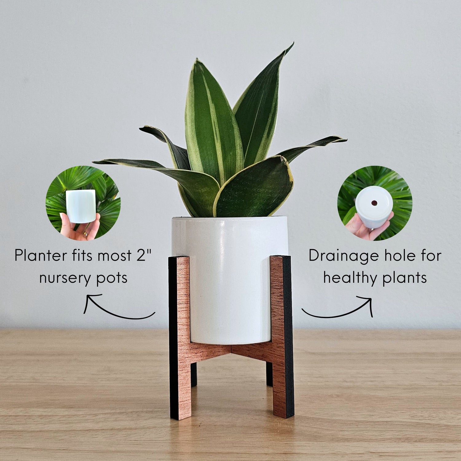 12 inch succulent planter Mini 2-Inch Wood Indoor Plant Stand & Pot