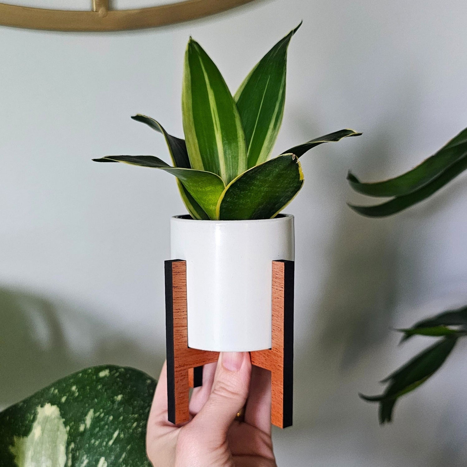 plant riser inside pot Mini Wood Indoor Plant Stand with Ceramic Pot
