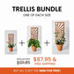 Bundle discount on set of indoor plant trellises for 2-6 inch indoor planters for houseplants.