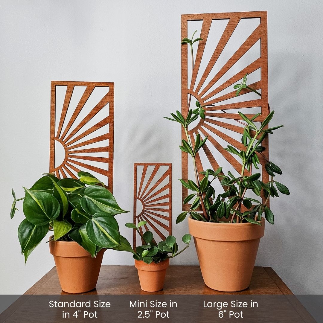 trellis for planter pots Indoor Plant Trellis – Mid Century Modern Design – Plant Gifts & Decor Mini + Standard