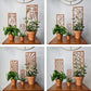 Modern indoor plant trellises for small houseplants in 2-6 inch pots..