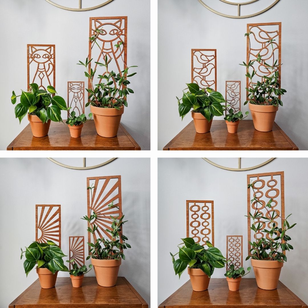 mid century modern indoor plants Indoor Plant Trellis – Mid Century Modern Design – Plant Gifts & Decor Large (best for 6-7 inch pots)