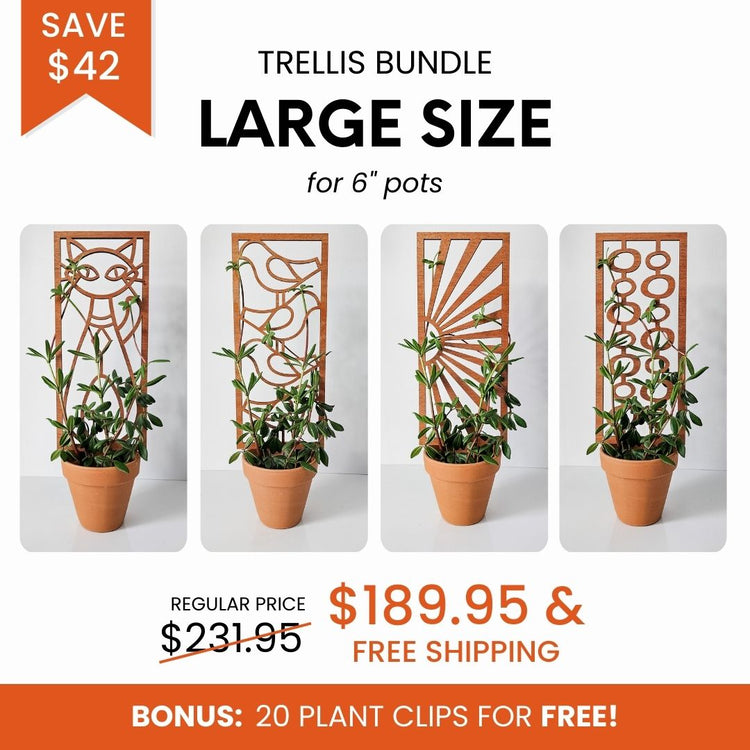 Bundle discount on set of indoor plant trellises for 6 inch indoor planters for houseplants.