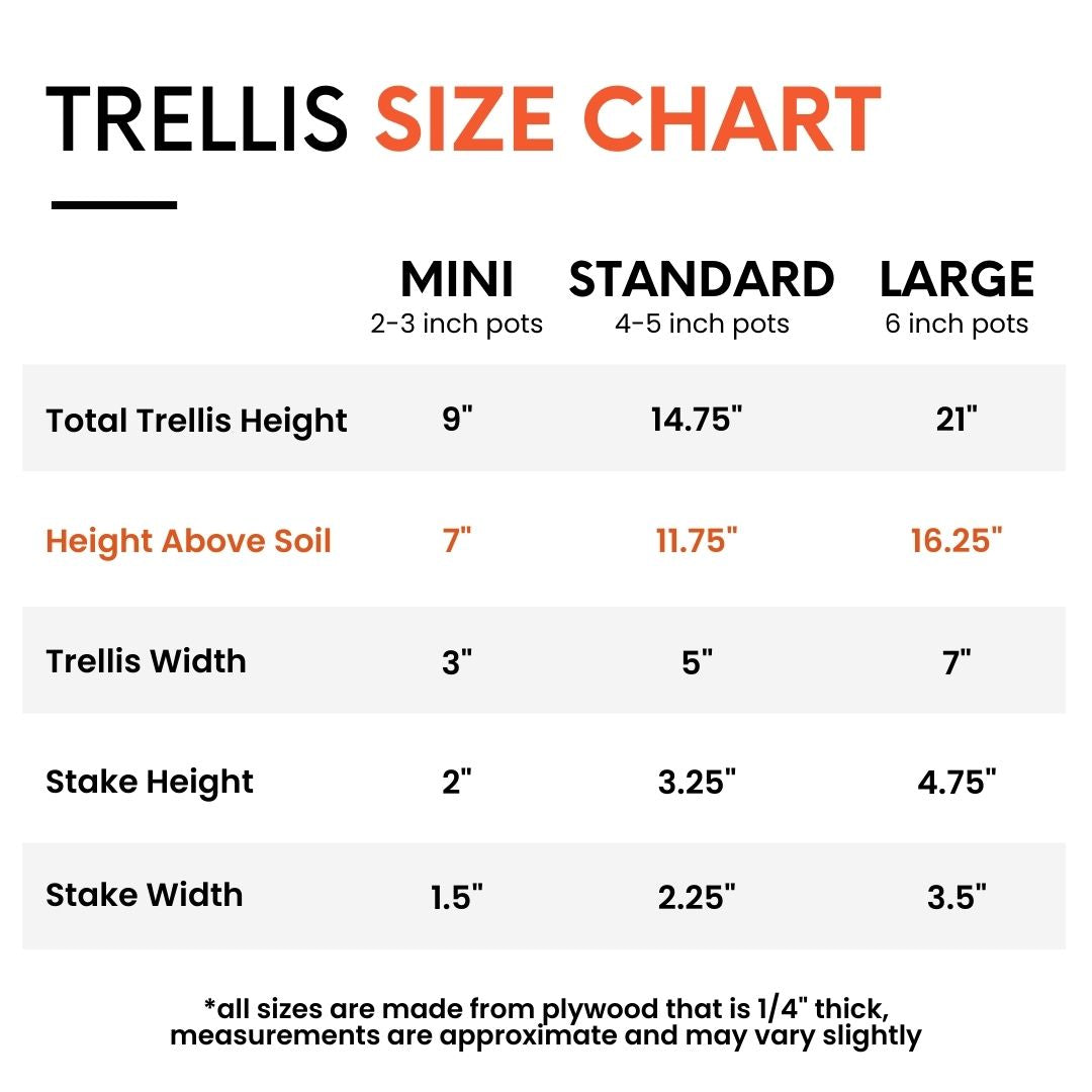 Measurements for three trellis sizes, designed for small indoor houseplants in 2-6 inch pots.