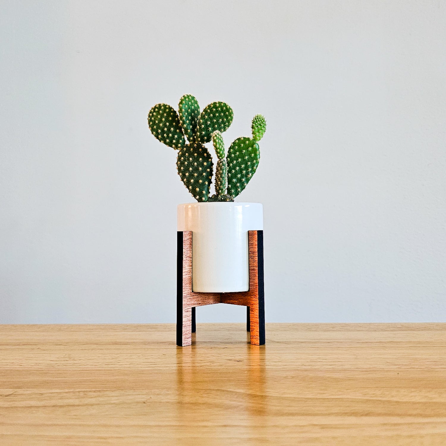 mid century plant pots Mini 2-Inch Wood Indoor Plant Stand & Pot