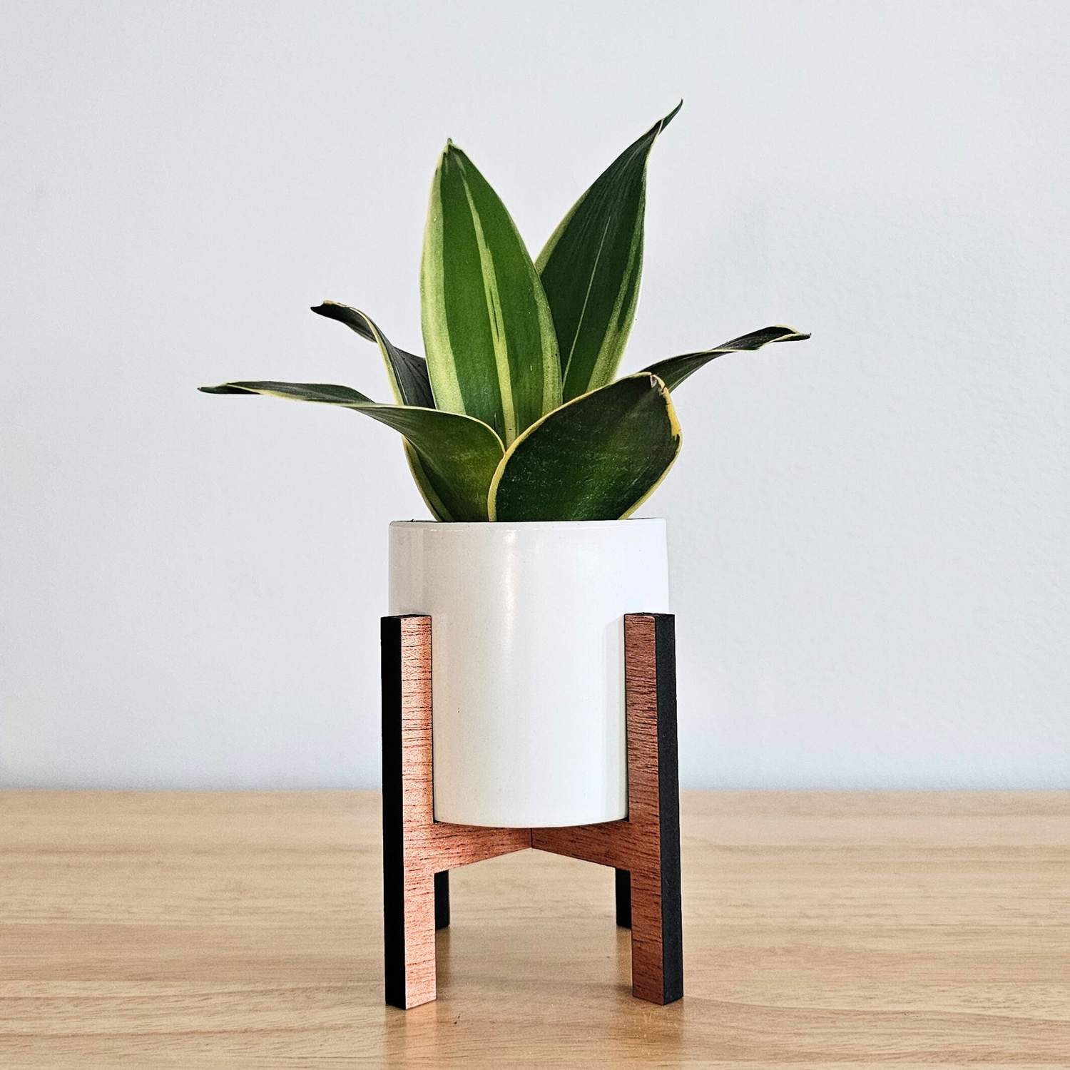plant and pot stand Mini Wood Indoor Plant Stand with Ceramic Pot