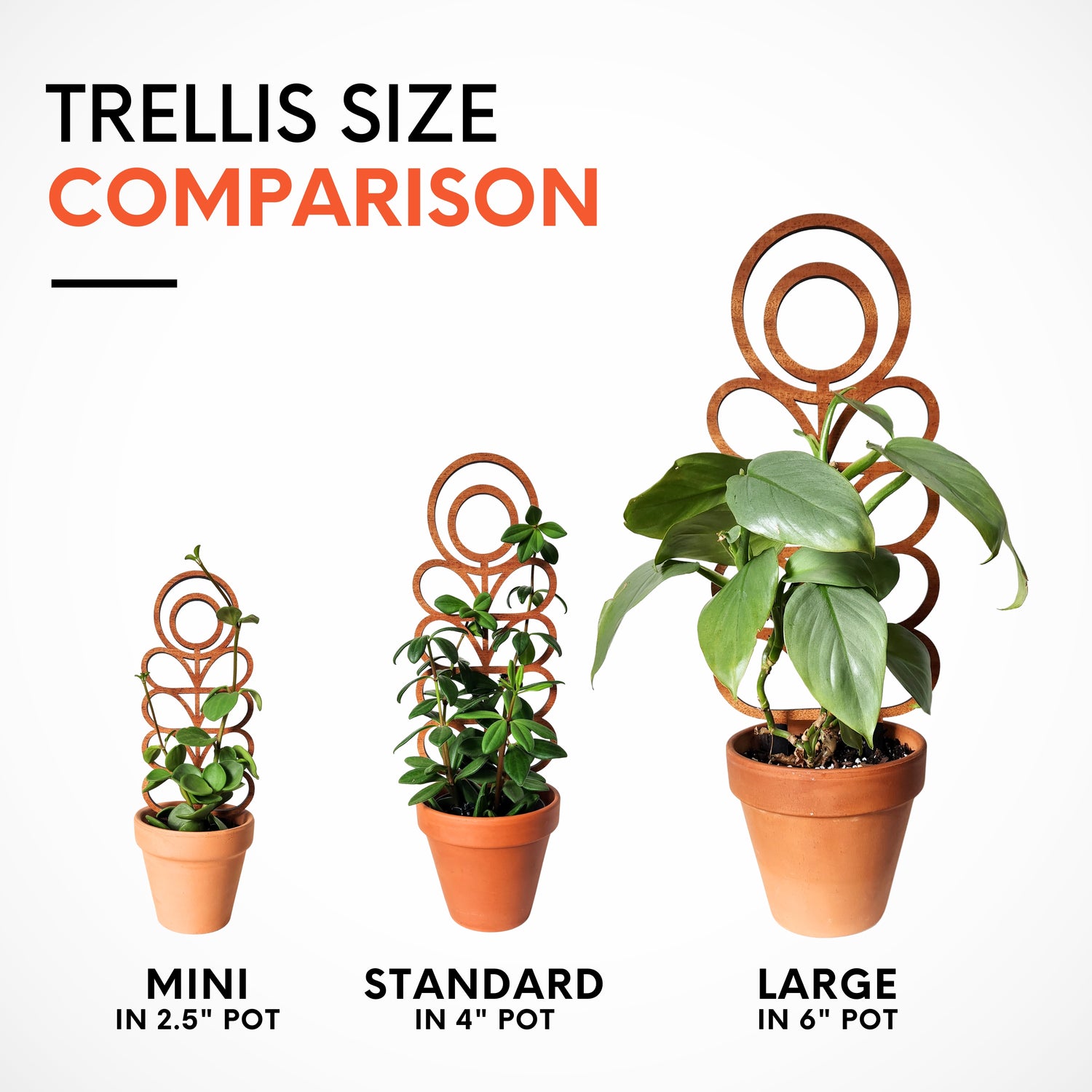 house plant supports MCM Zinnia Indoor Houseplant Trellis (Wood)