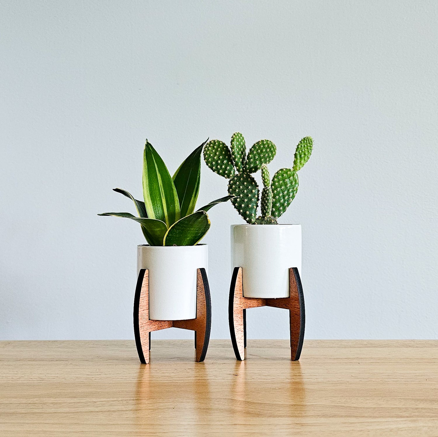 white pot plant stand Mini 2-Inch Wood Indoor Plant Stand & Pot