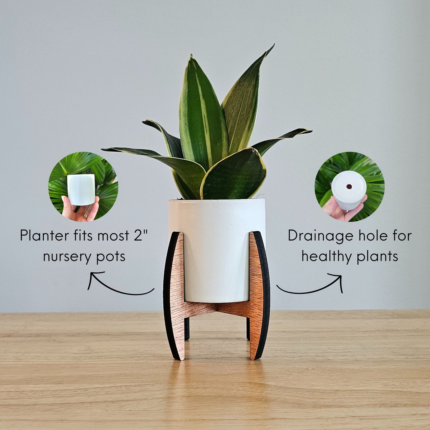plant for small pot Mini 2-Inch Wood Indoor Plant Stand & Pot