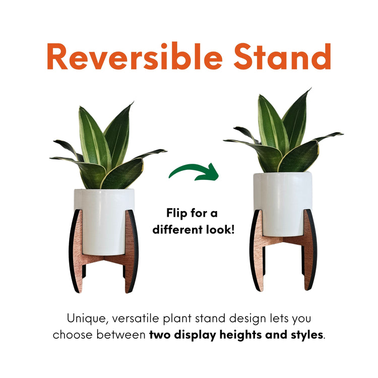 expandable plant pots Mini 2-Inch Wood Indoor Plant Stand & Pot