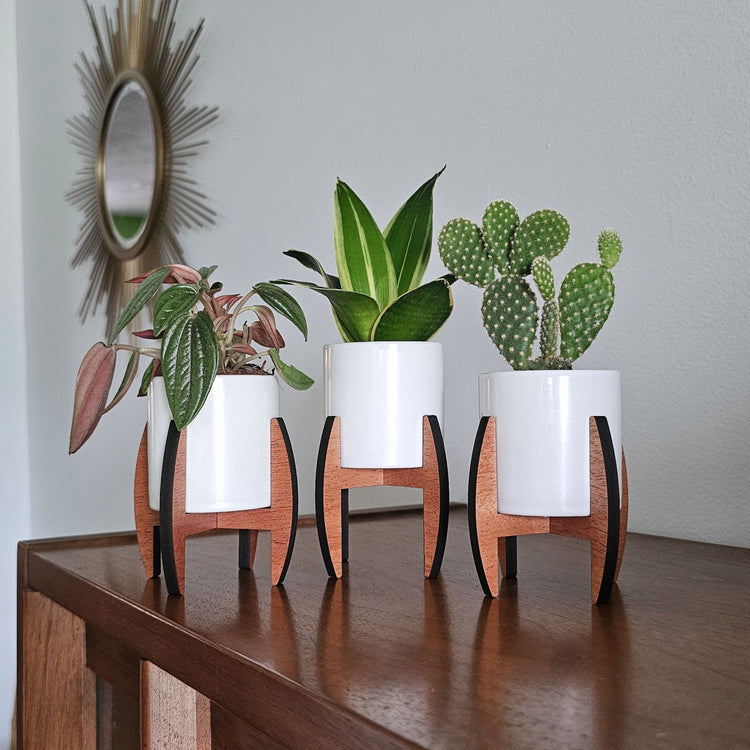 plant holders indoor Mini 2-Inch Wood Indoor Plant Stand & Pot