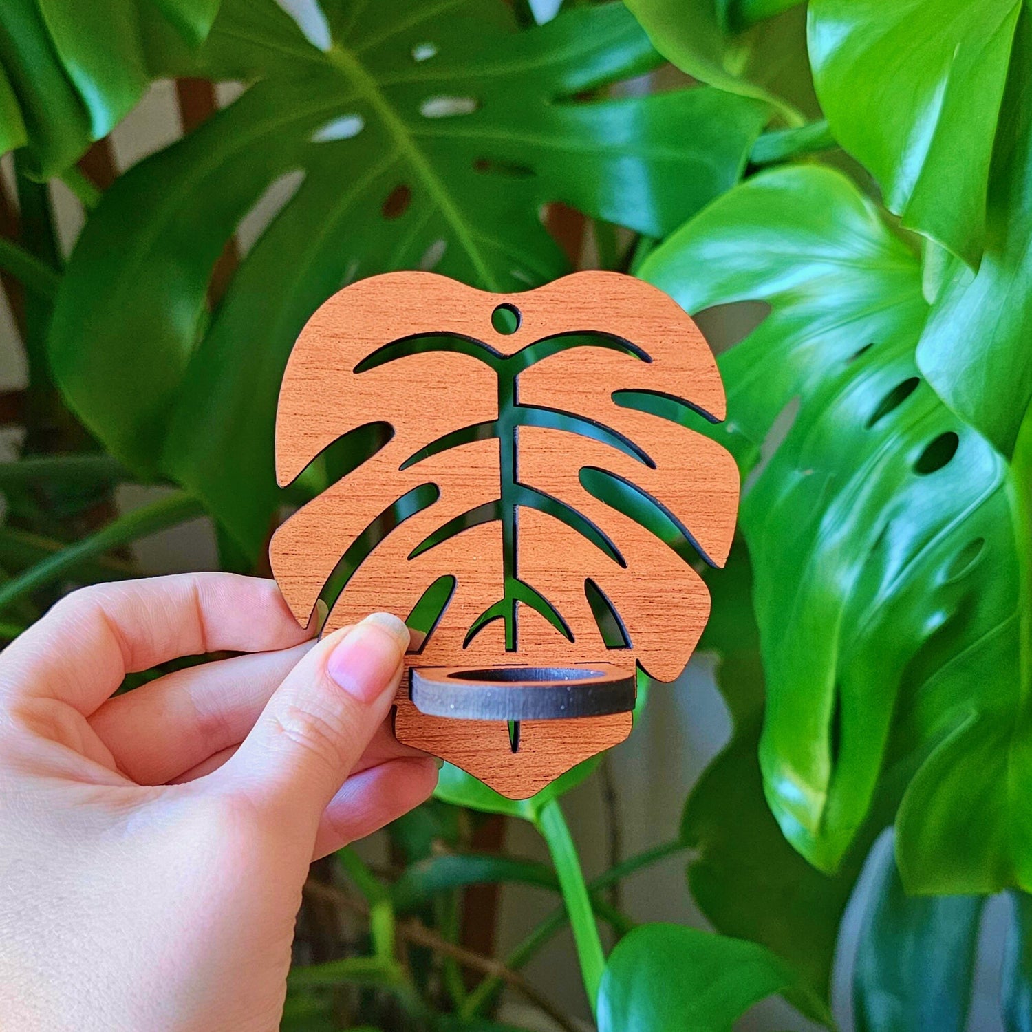 monstera holder Air Plant Holder