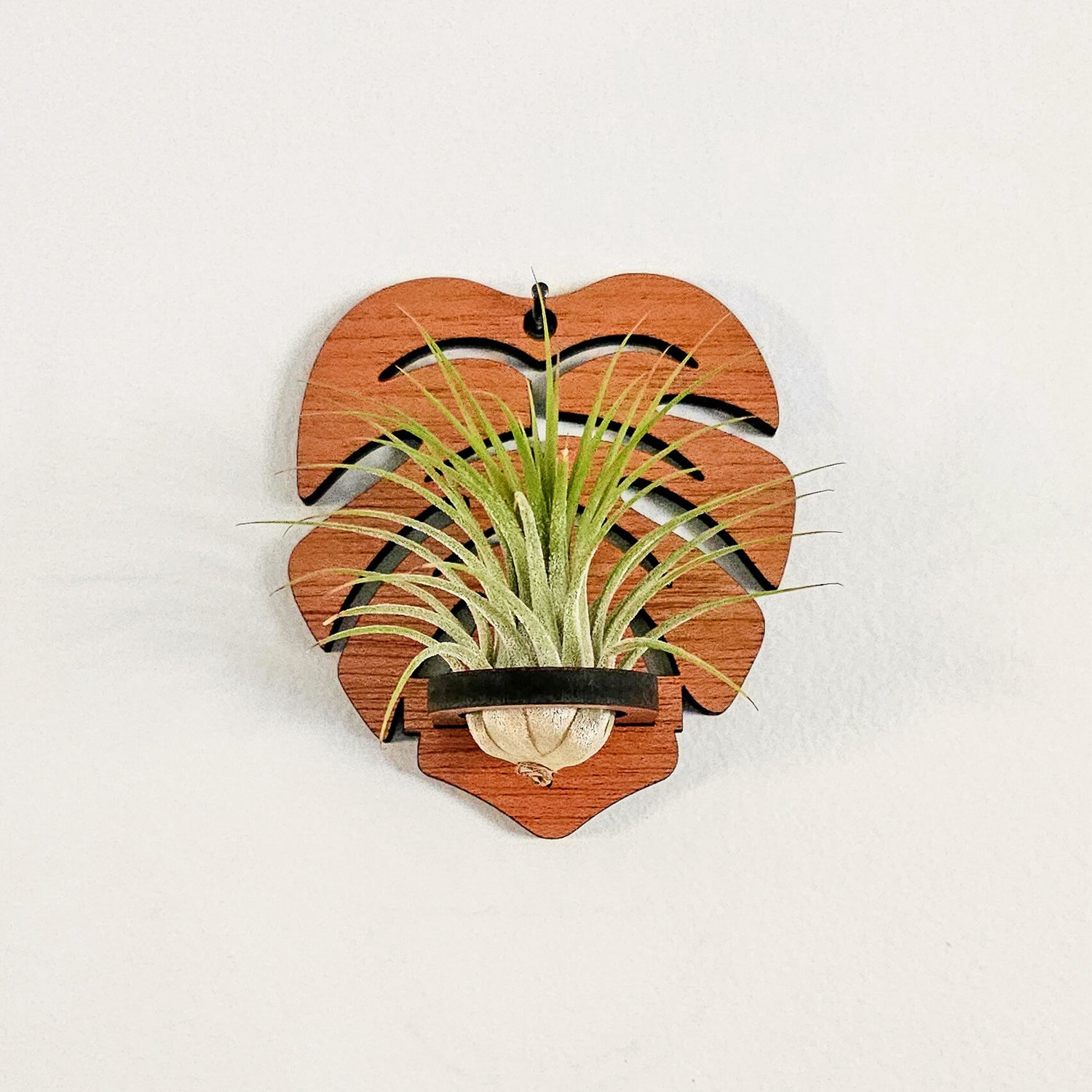as seen on tv plant hanger Monstera Leaf Air Plant Holder
