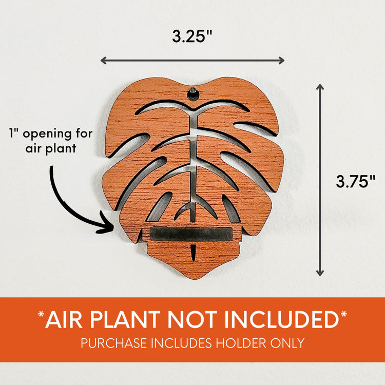 Wood air plant holder display - monstera leaf shaped air plant wall hanger. 