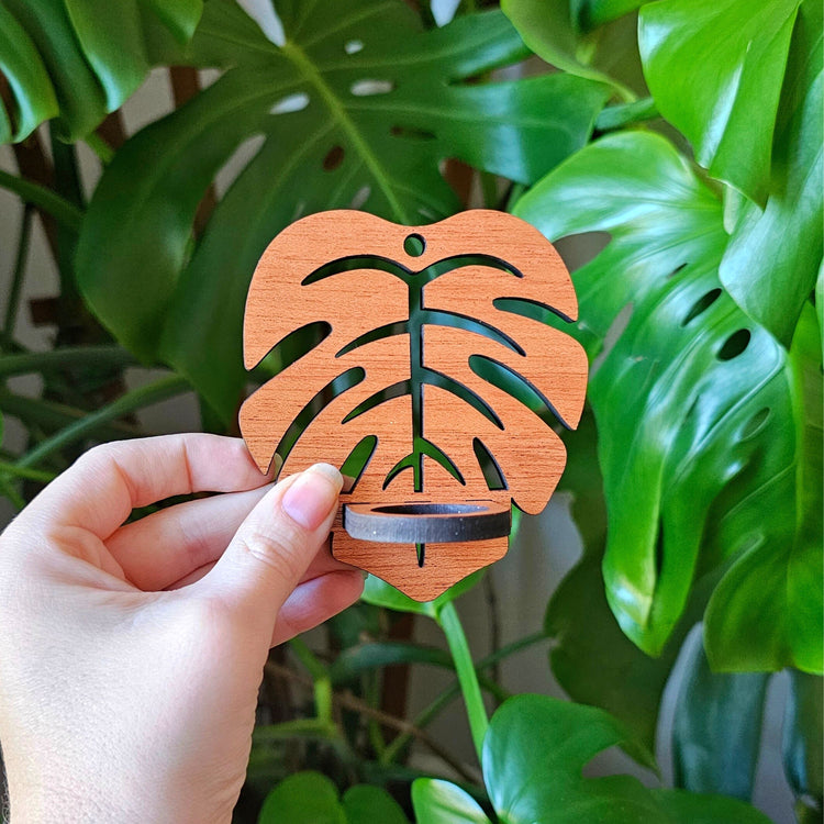 crate and barrel monstera leaf Wall Hanging Propagation Station