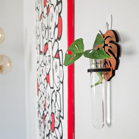 Wall hanging test tube propagation station for growing roots on plant cuttings in water. Small, dark colored wood plant hangers in a monstera leaf design with monstera adansonii cuttings.